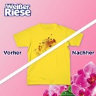Bild 5 von 6
