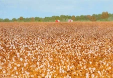 Carroll Cloar : Pickers : Archival Art Print