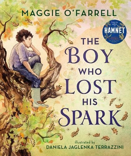 The Boy Who Lost His Spark, Daniela Jaglenka Ter, New, Hardback