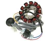 Lichtmaschine Stator -101 OCTANE- 12 Pole FüR Minarelli Mit Ducati ZüNdung (03-)