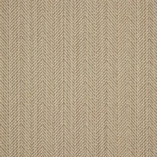 Sunbrella  Indoor / Outdoor Upholstery Fabric - Posh Lichen 44157-0014