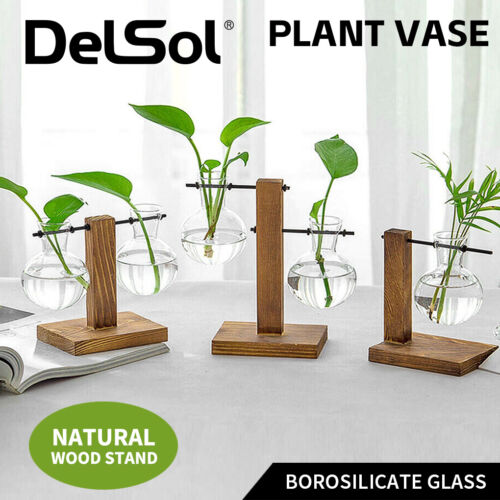 DelSol Wooden Stand Hanging Glass Vase Hydroponics Pot Home Decor Desktop - Picture 1 of 16