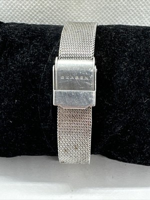Skagen 880SSSG Women Silver Stainless Steel Mesh Analog Dial 