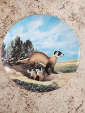 *WS George Collector Plate Endangered Species BLACK-FOOTED FERRET Plate #7282 C