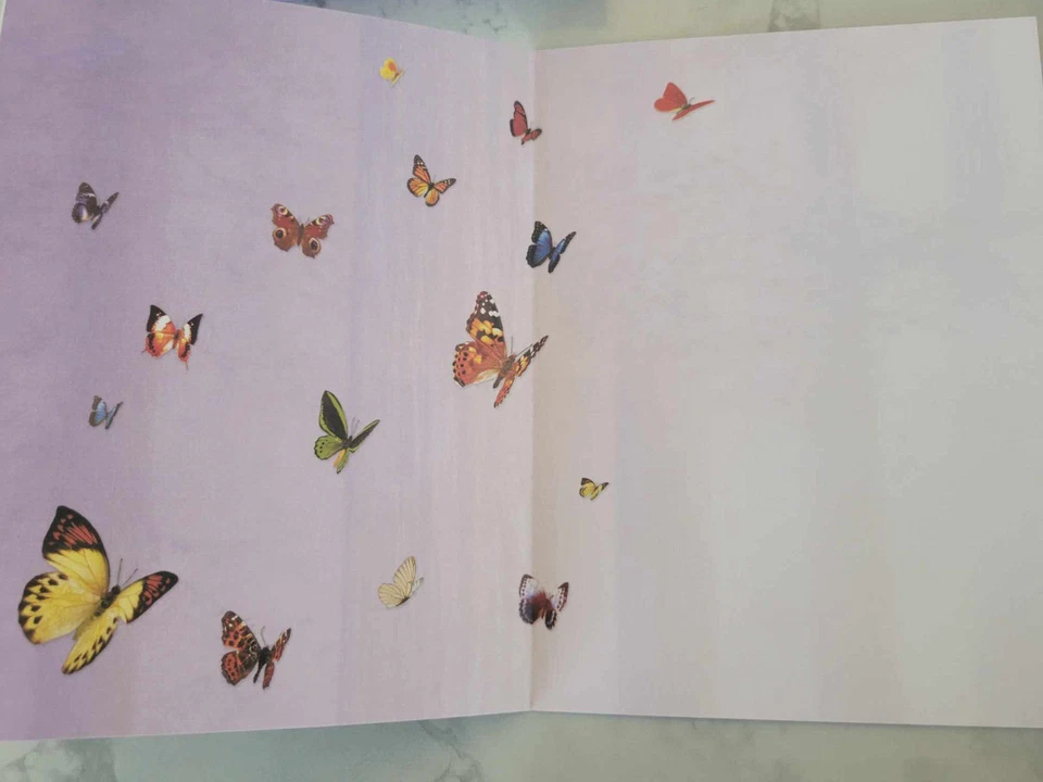 16 Leanin Tree Note Cards Lots Of Colorful BUTTERFLIES in Woods David Penfound - Image 2 of 2