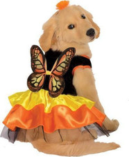 Monarch Butterfly Pet Costume for Dogs or Cats, Medium
