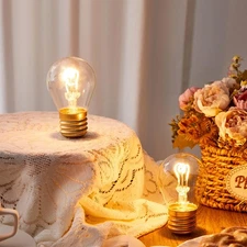 4.4 x 2.7 Inch Large Rechargeable USB Light Bulb Christmas Decor Portable Wir...