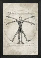 Vitruvian Mind Flayer Framed Wall Art Poster Canvas Print Picture