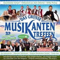 Das GroßE Musikantentreffen Folge 45 | Diverse Interpreten | Audio-Cd | CD