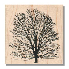 Mounted Rubber Stamp, Bare Tree With No Leaves, Nature, Branch,Leaf,Plant,Winter