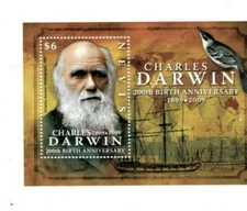 Nevis - 2009 - Charles Darwin - Souvenir Sheet  - MNH