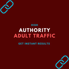 3,000 Website Hits | Traffic to Your Site from Adult Network Websites!!