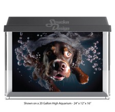 Dark Black Lab Dog Swim Polyester Fish Tank Glass Backdrop Aquarium Background
