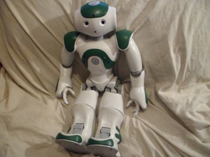 nao robot ebay
