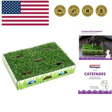 Grass Patch Hunting Box - Interactive Indoor Cat Toy with Faux Grass  3 Jing...