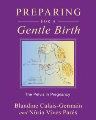 Preparing for a Gentle Birth: The Pelvis in Pregnancy - Paperback - GOOD