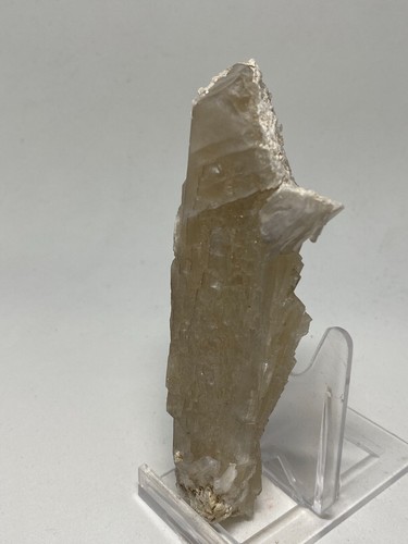 CELESTINA Celestine - Armenta, Orihuela, Alicante SPAIN MINERAL 11x4x3 K31 - Imagen 3 de 7