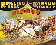 POSTER CIRCUS ANCIENT ROMAN CHARIOT RACE HORSES VINTAGE REPRO FREE S/H