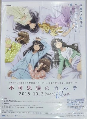 Rascal Does Not Dream wa Bunny Girl Senpai no Yume wo Minai - Fushigi no Karte