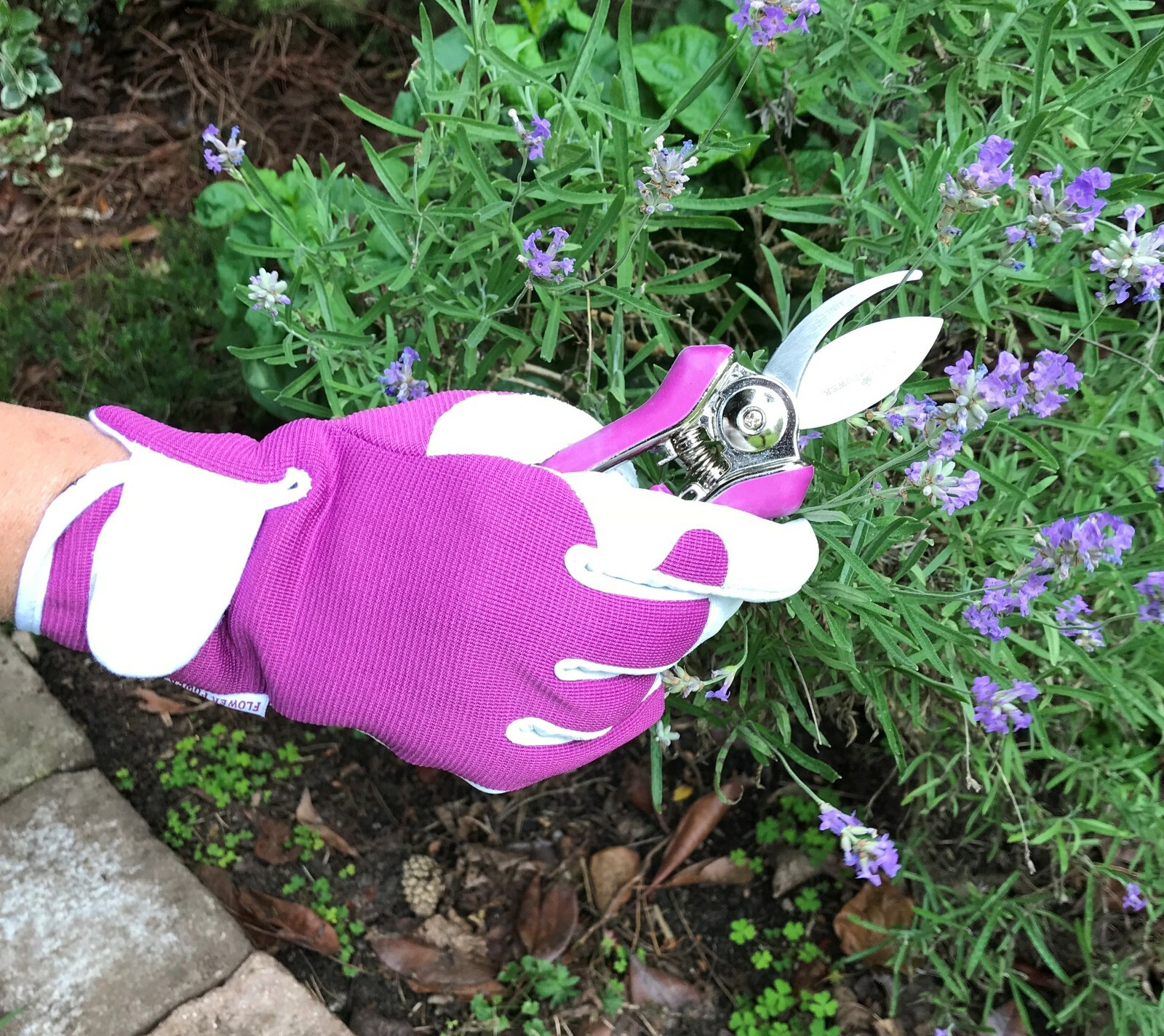 Ladies Leather Gardening Gloves and Mini Secateurs Set Best Ladies