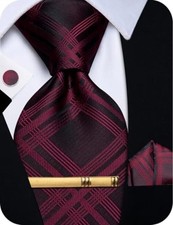 Silk Ties for Men Paisley Floral Striped Necktie and Pocket Square Black Red-z