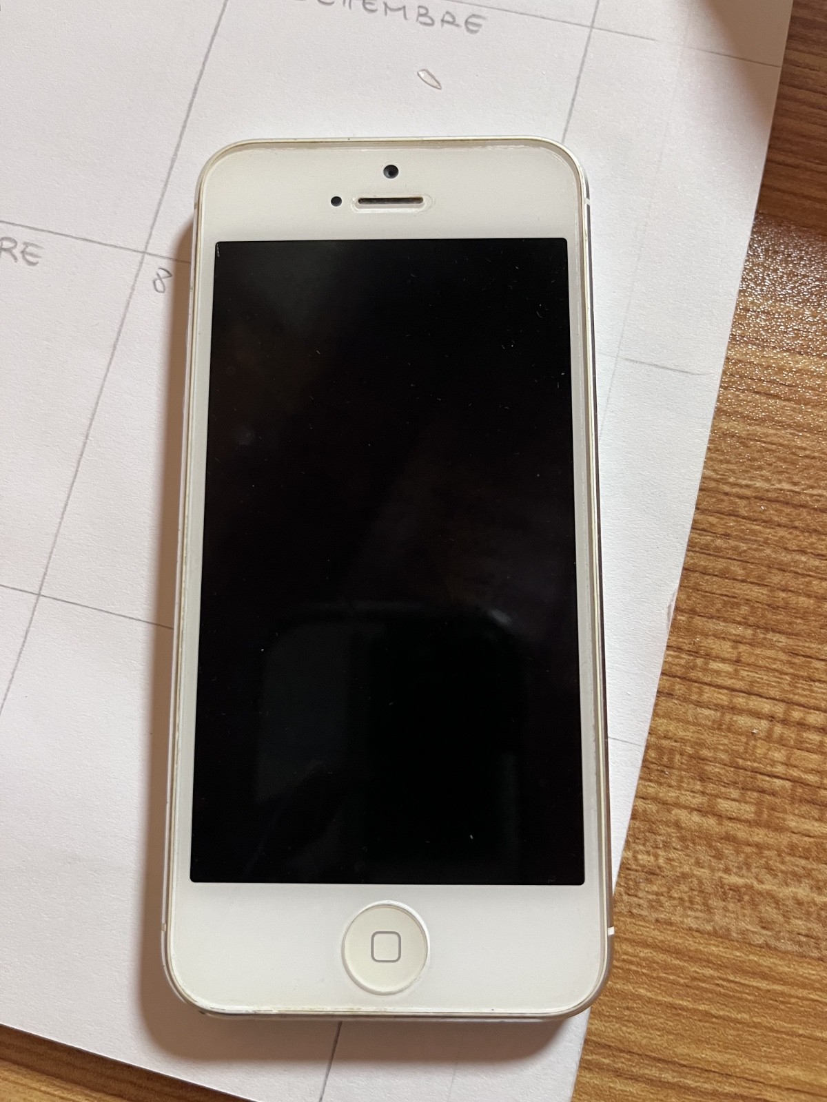 Apple Iphone 5  (Modello  A1429) Argento/Bianco- USATO/INTATTO