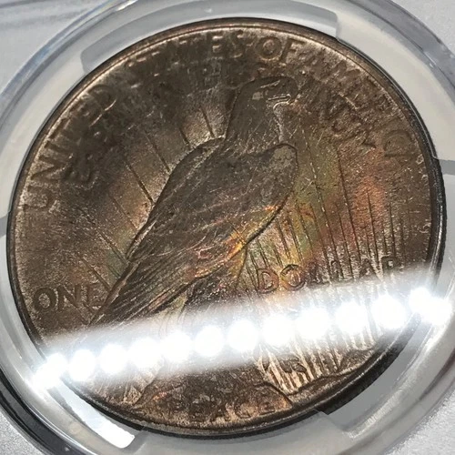 1924 P Peace Silver Dollar PCGS MS-64 - Dark Rainbow Toning