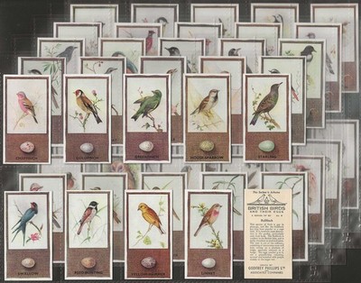 PHILLIPS - FULL SET - BRITISH BIRDS & THEIR EGGS 1936 (50 CARDS) TOP