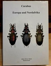 Carabus - Europa Und Nordarfika