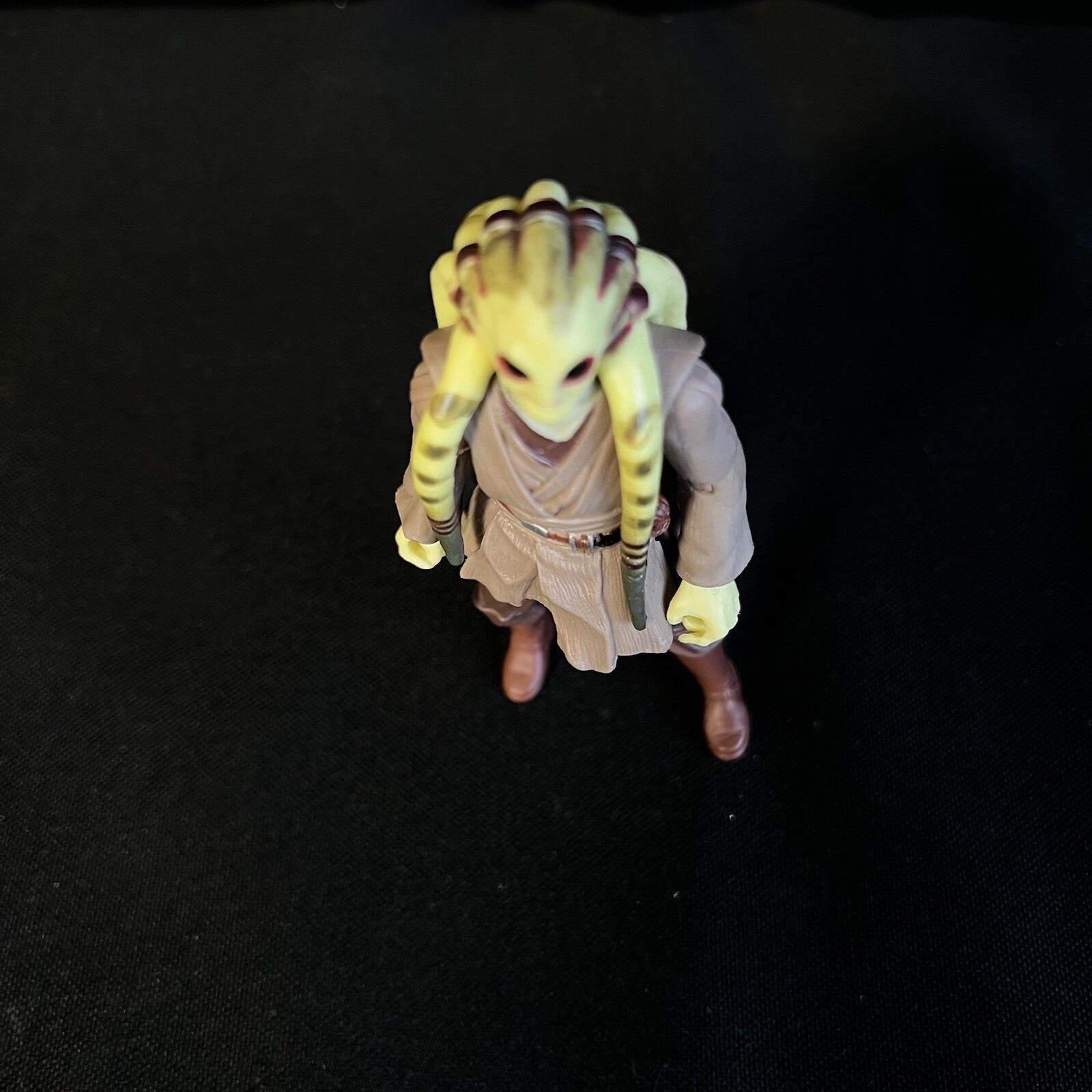 Picture 2 of 16