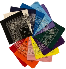 Kaiser Paisley Bandanas - 1, 3, 6, 12 pieces (21 inch x 21 inch)