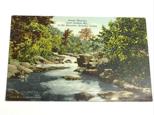 U.S. Forest Service Card. Johnson’s Shut Ins near Ironton, Mo. Van Buren  PC`1
