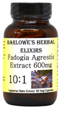 Fadogia Agrestis  10:1 Extract  600 mg Per Capsule  60 VegiCapsules