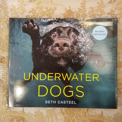 Underwater Dogs: By Casteel, Seth 9780316227704 | eBay