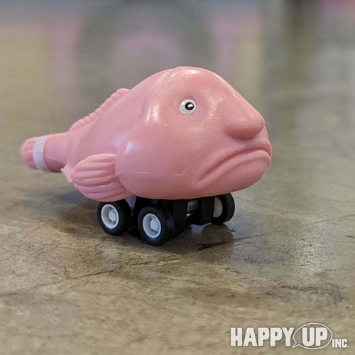 Racing Blobfish (set of 4) Funny Pull Back Race Fish Toys - Archie McPhee - Picture 6 of 8