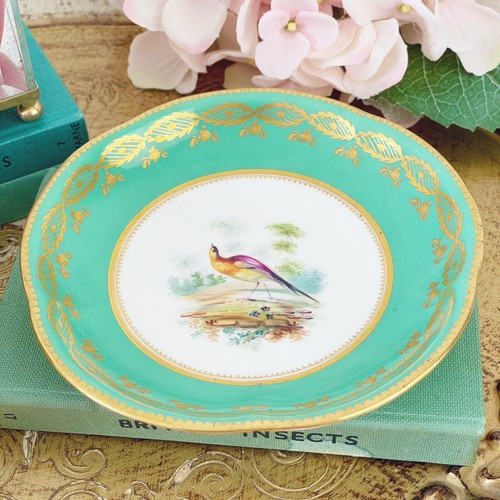 Antique Coalport John Randall handpainted trio teacup coffee cup saucer, birds B - Picture 12 of 13