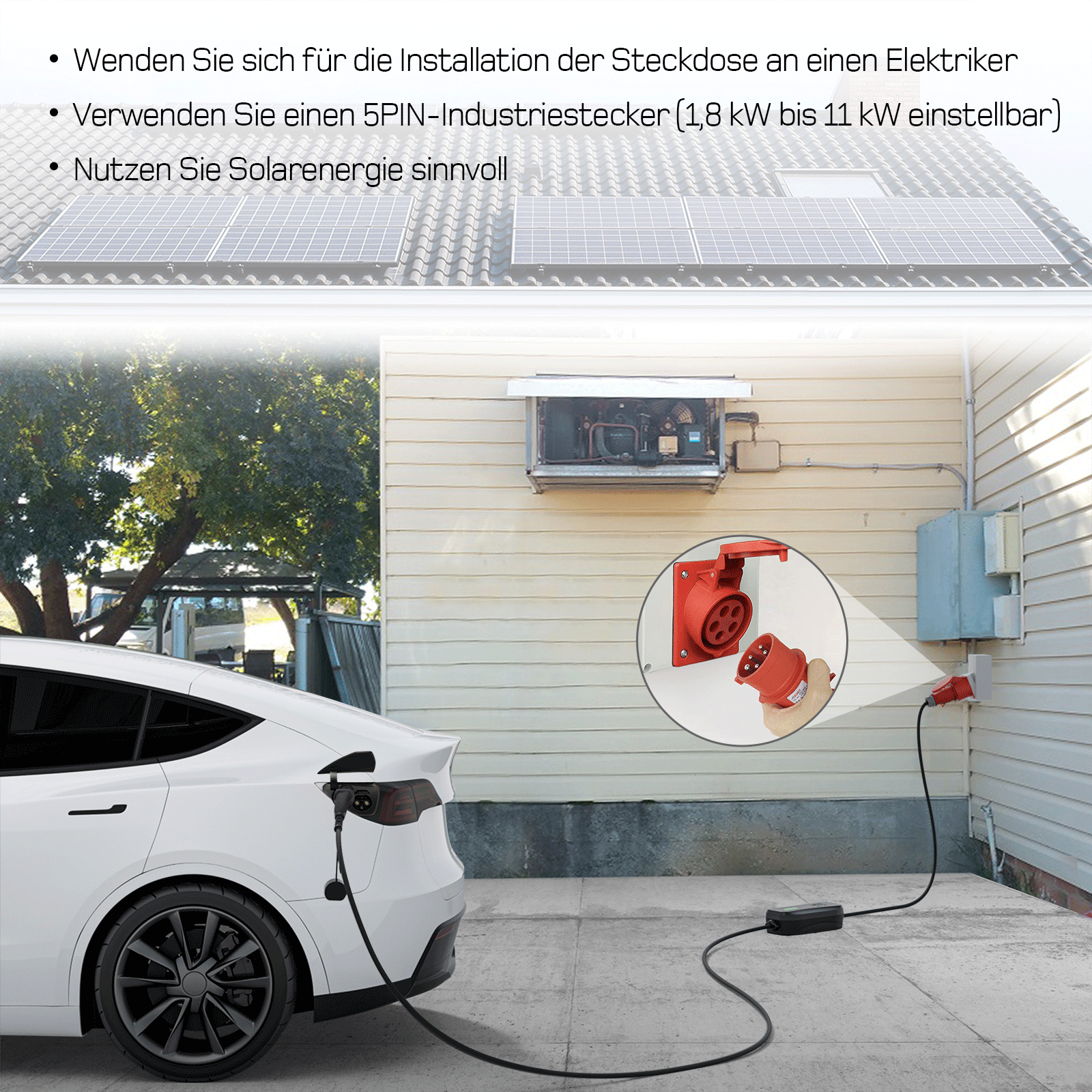 Bild 11 von 12