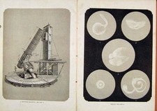 Old Antique Print Illustrated London Almanack Nebule Newtonian Reflector 19th