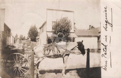 Street View Dan Patch in disguise, Port Austin MI 1906 RPPC Photo Postcard COPY