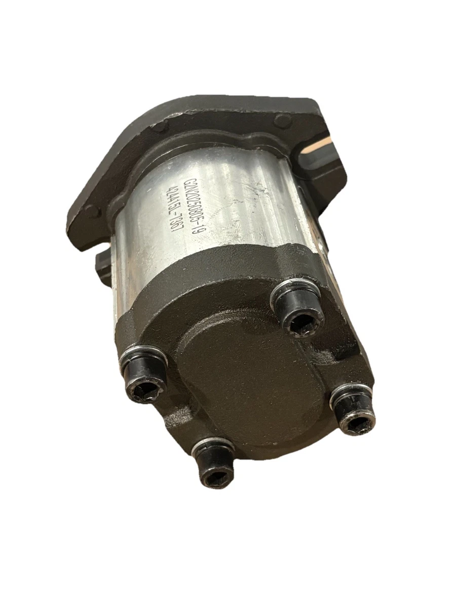 hydraulic gear pump G2N20250805-19 photo 2