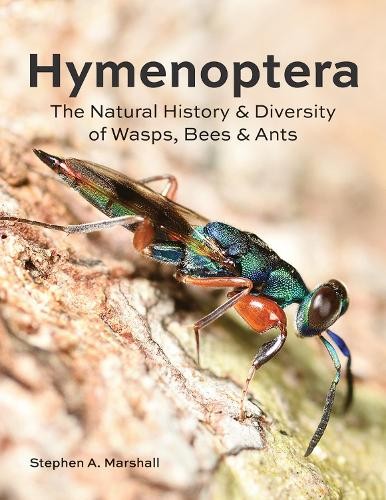 Hymenoptera : The Natural History and Diversity of Wasps, Bees and Ants by ... - Image 6