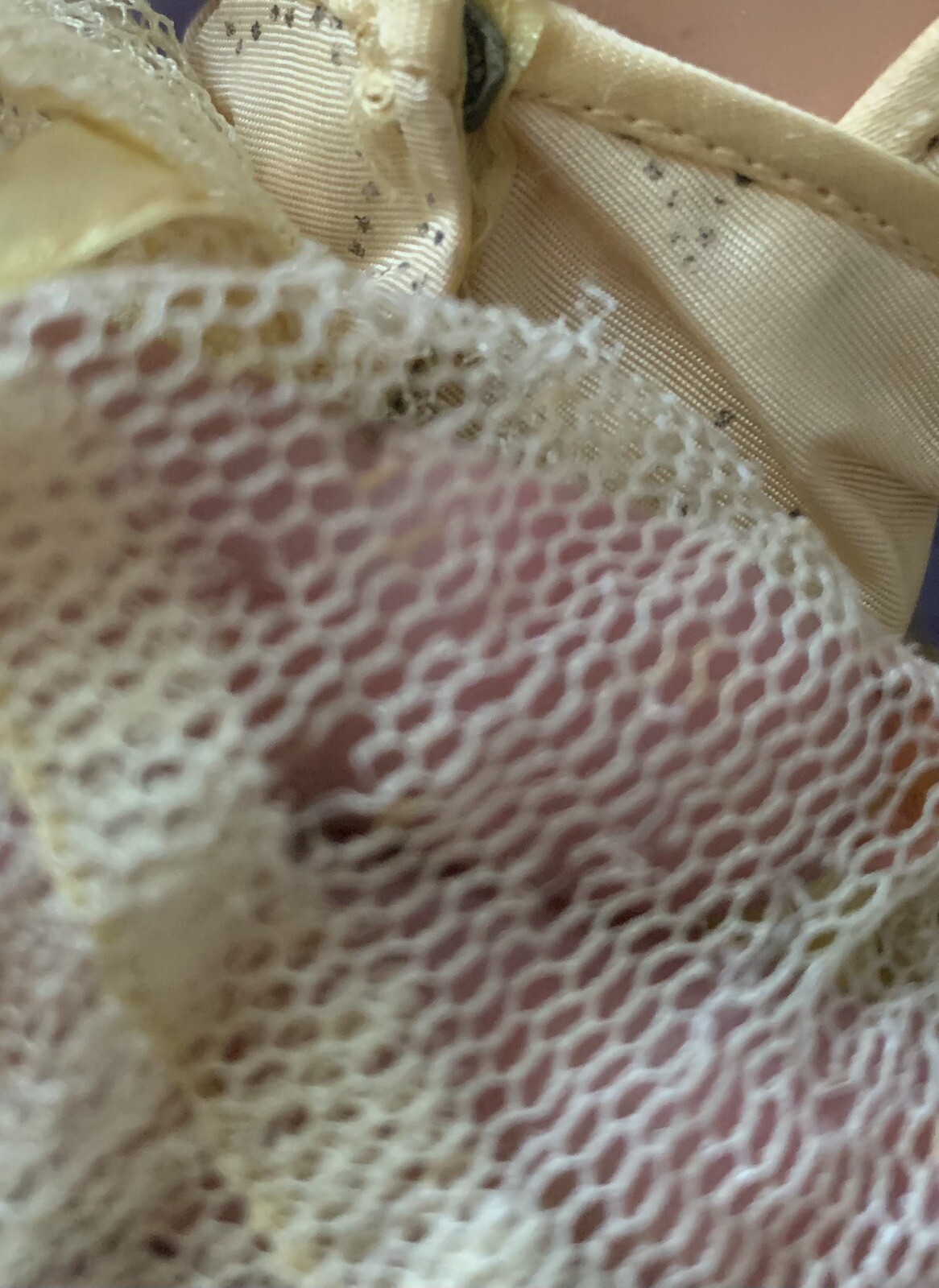 Picture 8 of 10