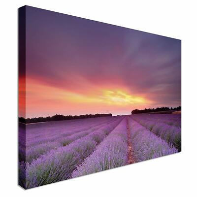Sonnenuntergang über Lavendelfeld Leinwand Wandbild Bild Druck