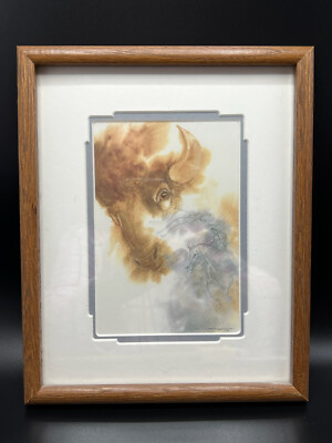Dyanne Strongbow ''Plains Thunder'' print  signed matted and framed 10.75'' x 8.75''