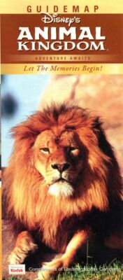 Lion The King Of The Jungle - 2011 Disney's Animal Kingdom Fold Out Guidemap