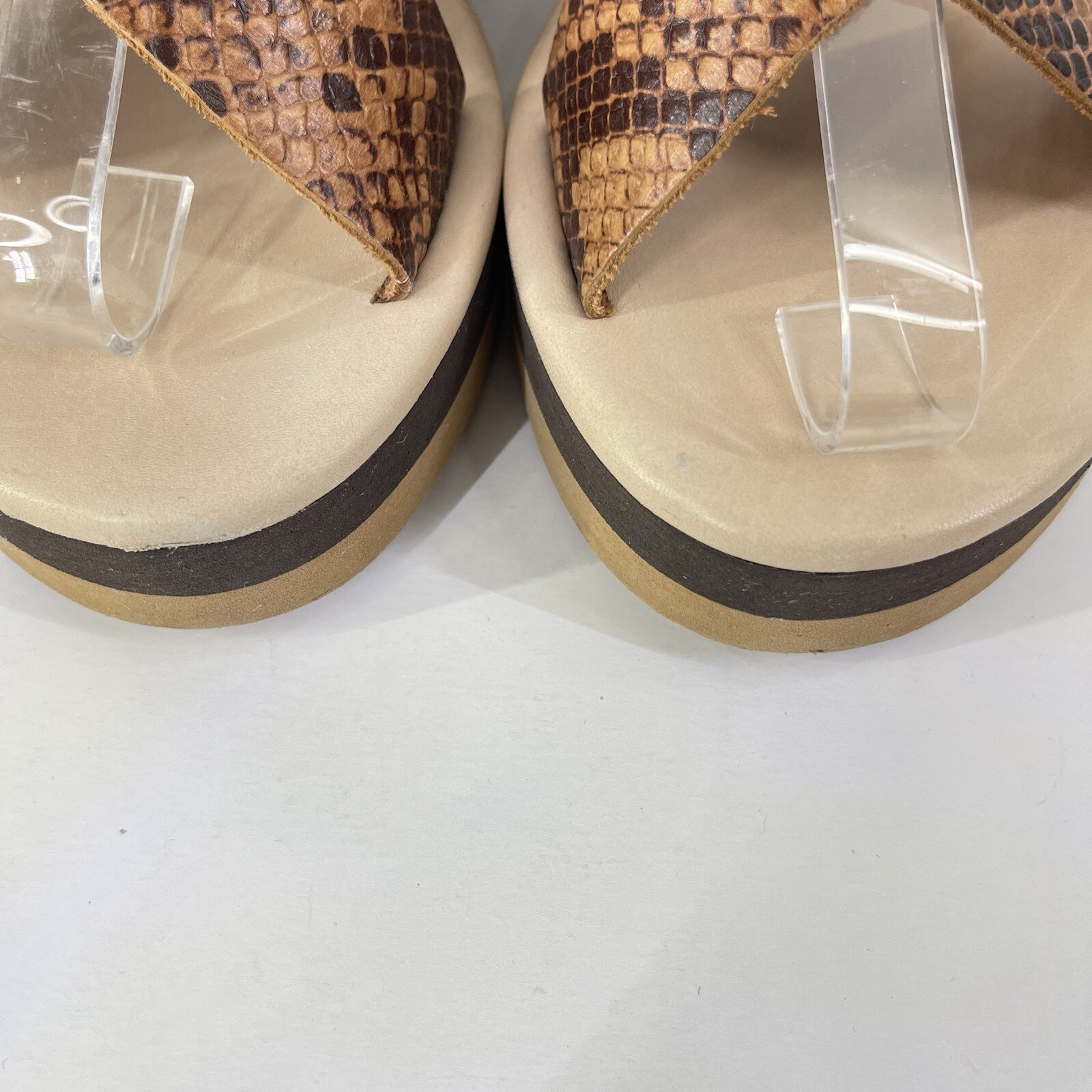 Ancient Greek Brown Thai Python Rainbow Tampa Wed… - image 7