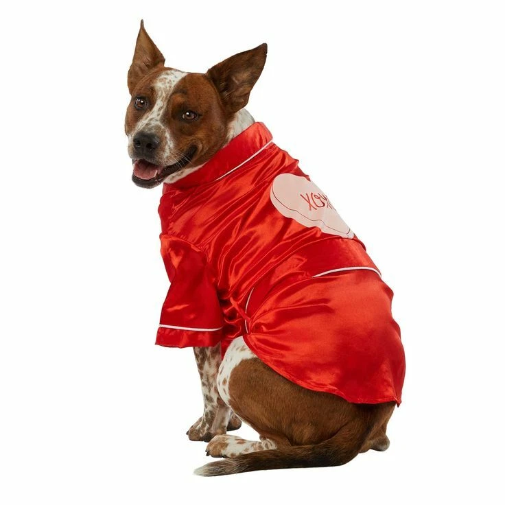 Dog clearance silk robe