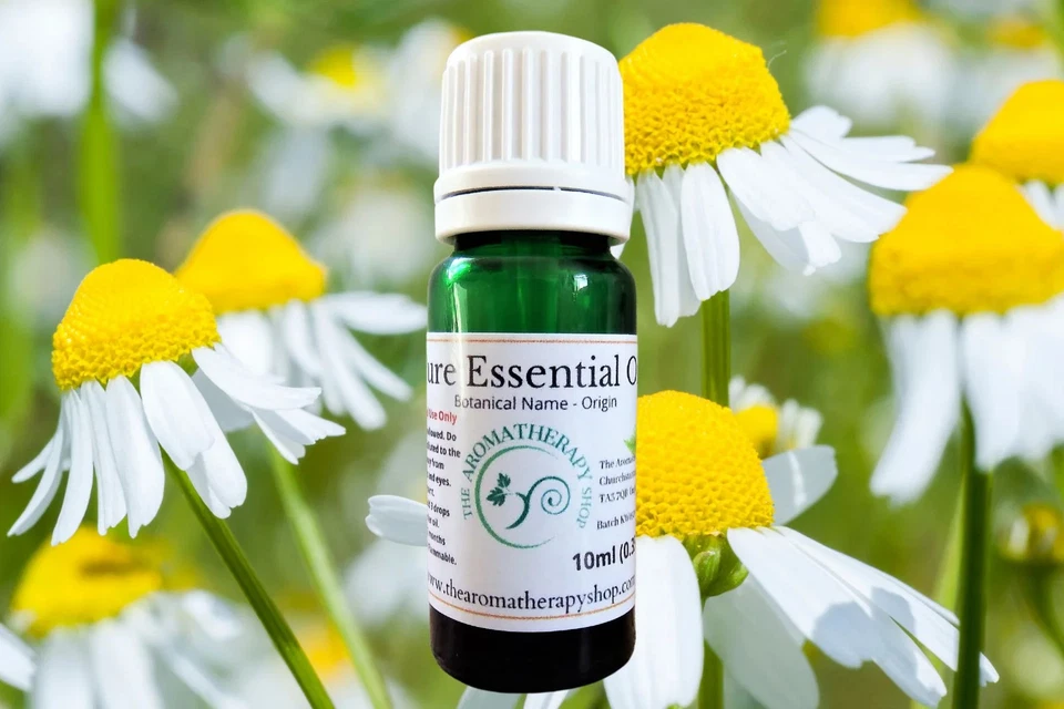 THE AROMATHERAPY SHOP LTD German Chamomile Pure Essential Oil / Organic (Origin: Nepal)