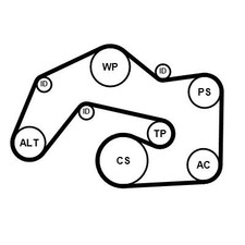 CONTINENTAL CTAM KEILRIPPENRIEMEN-SATZ passend für AUDI Q7 PORSCHE CAYENNE