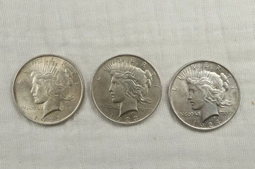 NobleSpirit Desirable 1922 - 1924 Silver Peace Dollar Choice BU Lot of 3